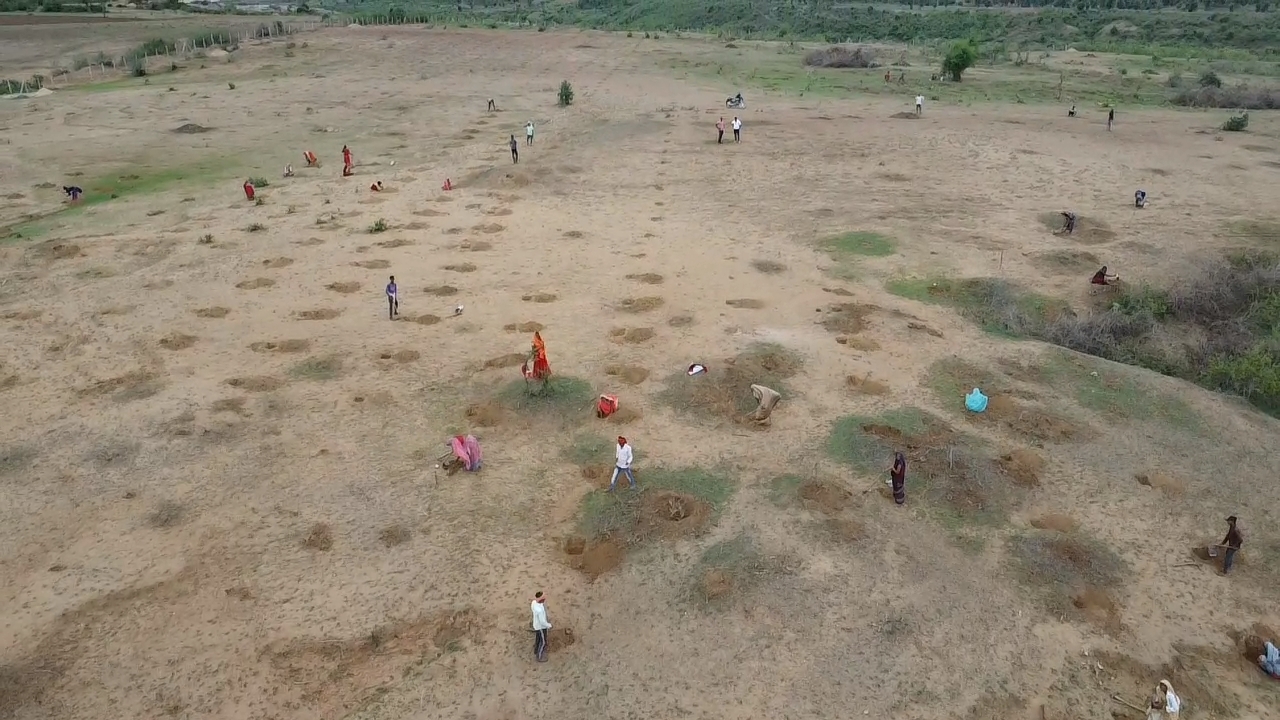 Workers digging pits during the weeding process to ensure conservation-tiger