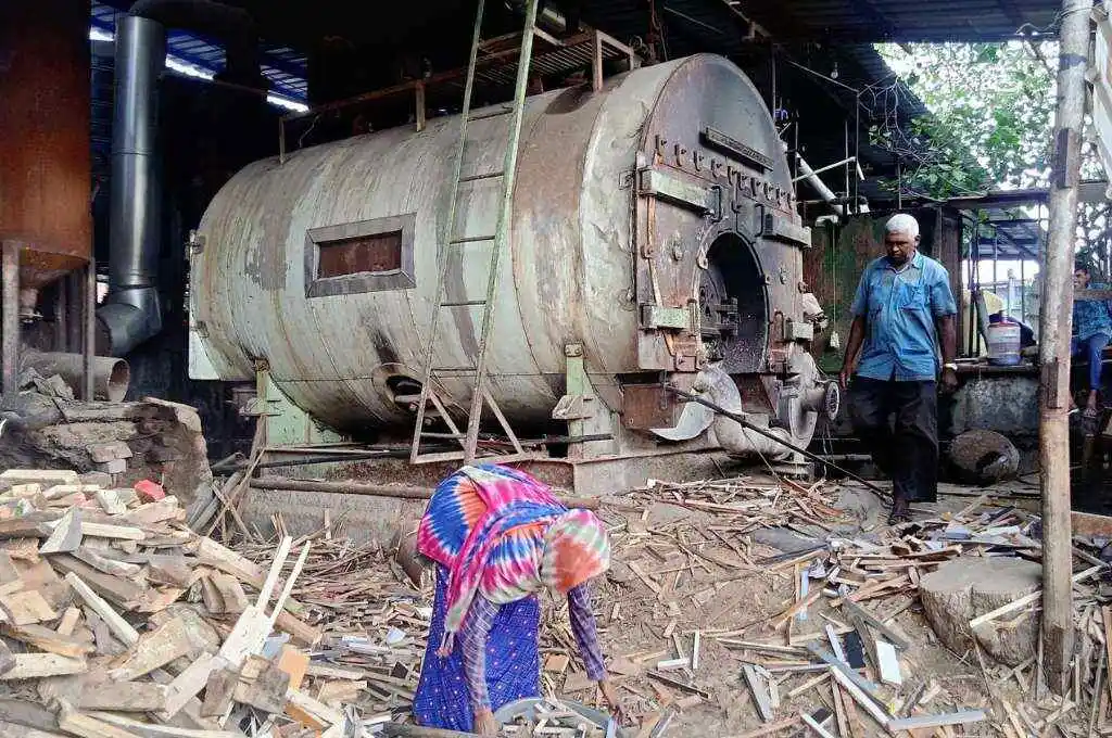 A woman collecting wood_boiler worker